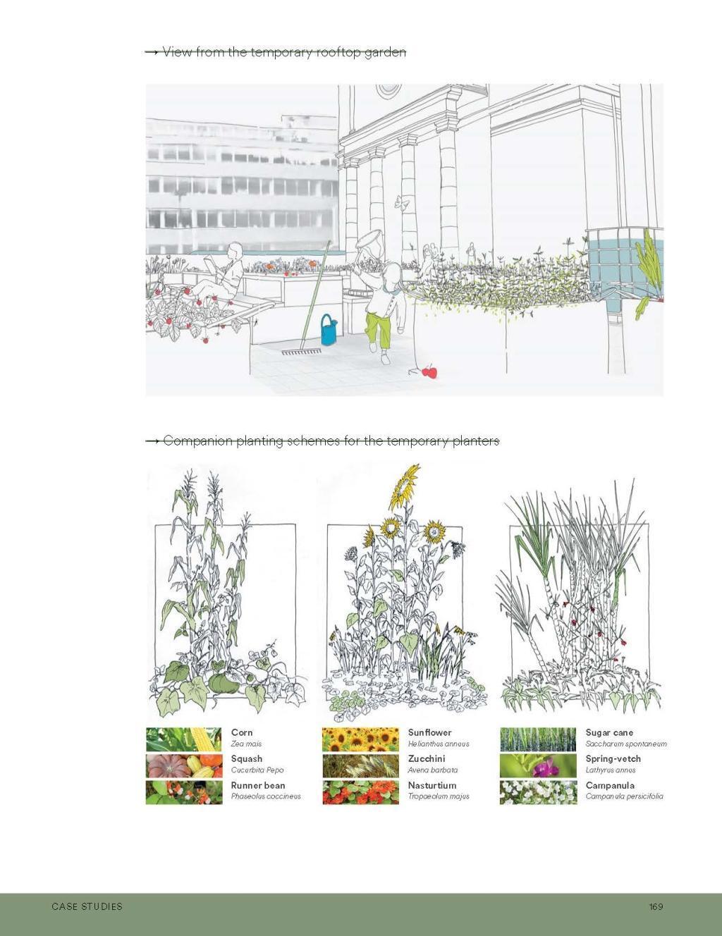 Bild: 9783035615999 | Food Urbanism | Typologies, Strategies, Case Studies | Verzone (u. a.)