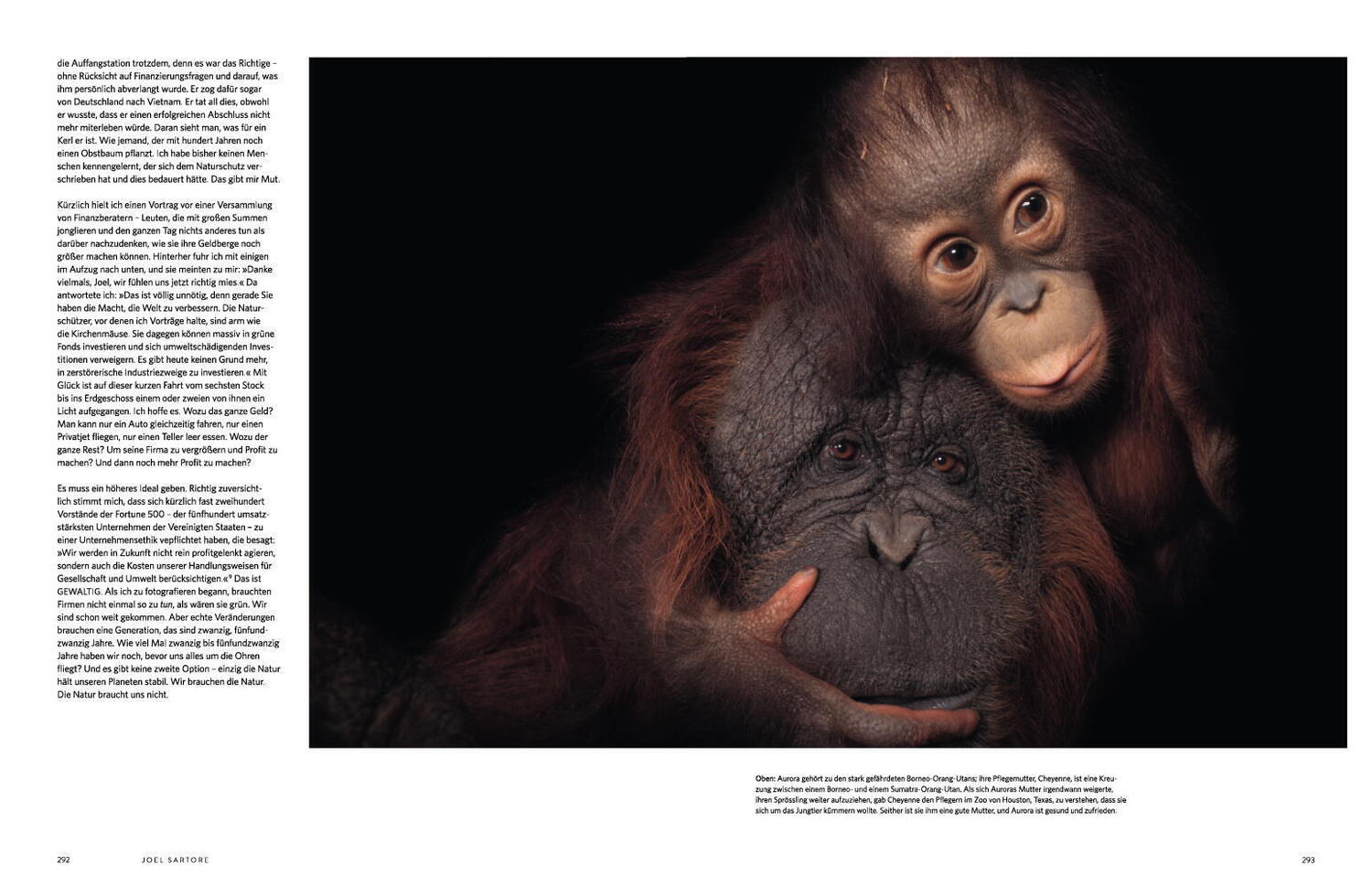 Bild: 9783957284334 | Human Nature | Über den Zustand unserer Erde | Brent Stirton (u. a.)