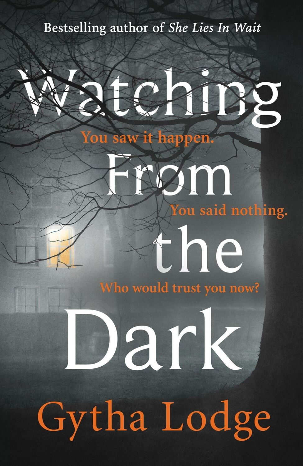 Cover: 9781405938501 | Watching from the Dark | Gytha Lodge | Taschenbuch | 416 S. | Englisch