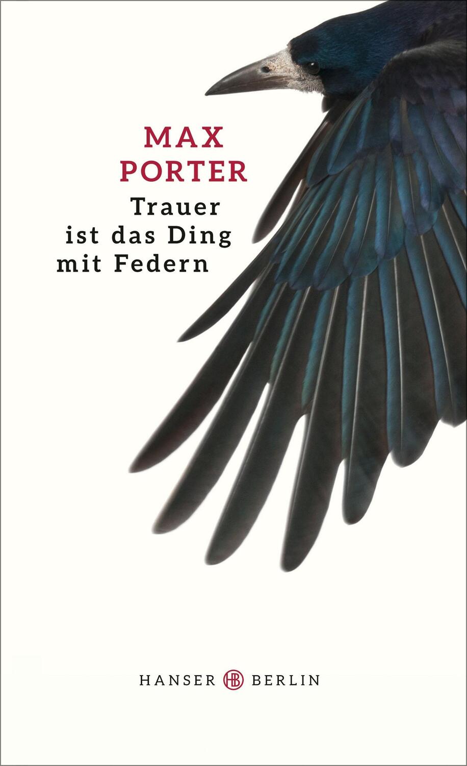 Cover: 9783446249561 | Trauer ist das Ding mit Federn | Max Porter | Buch | Deutsch | 2015