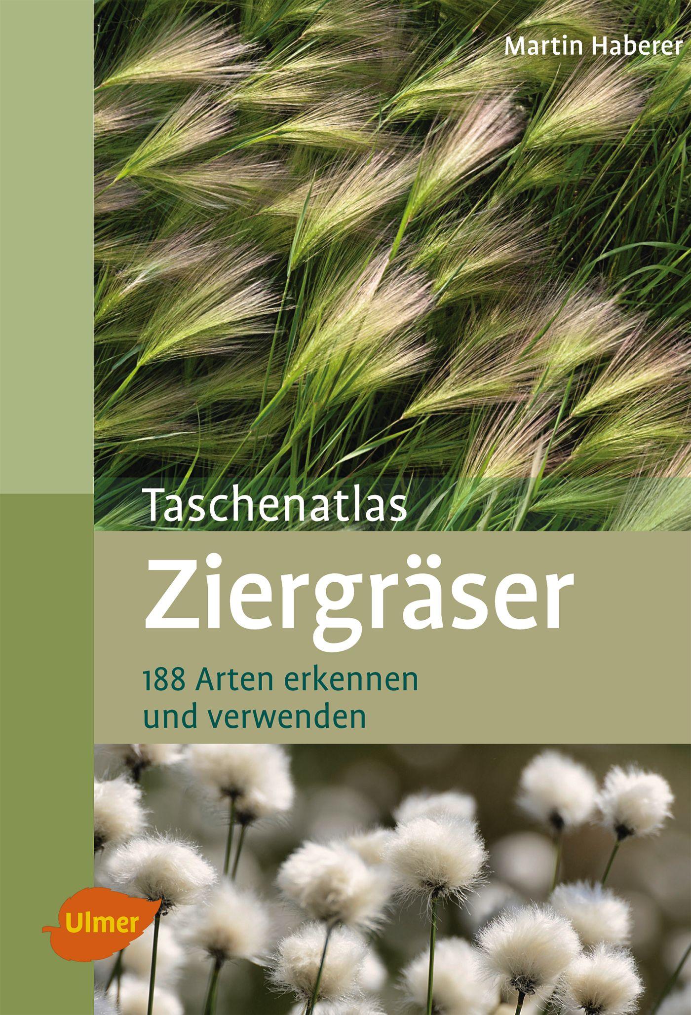 Cover: 9783800182718 | Taschenatlas Ziergräser | 188 Arten erkennen und verwenden | Haberer