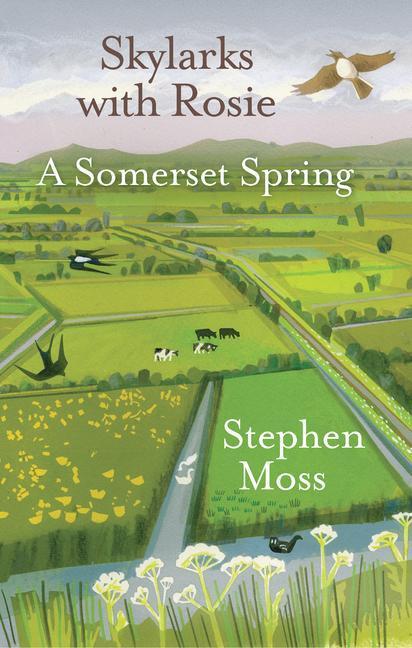 Cover: 9781913393045 | Skylarks with Rosie: A Somerset Spring | Stephen Moss | Buch | 2022