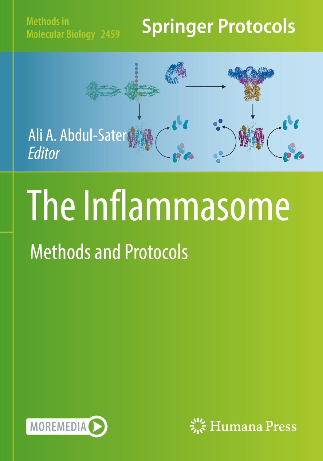 Cover: 9781071621462 | The Inflammasome | Methods and Protocols | Ali A. Abdul-Sater | Buch