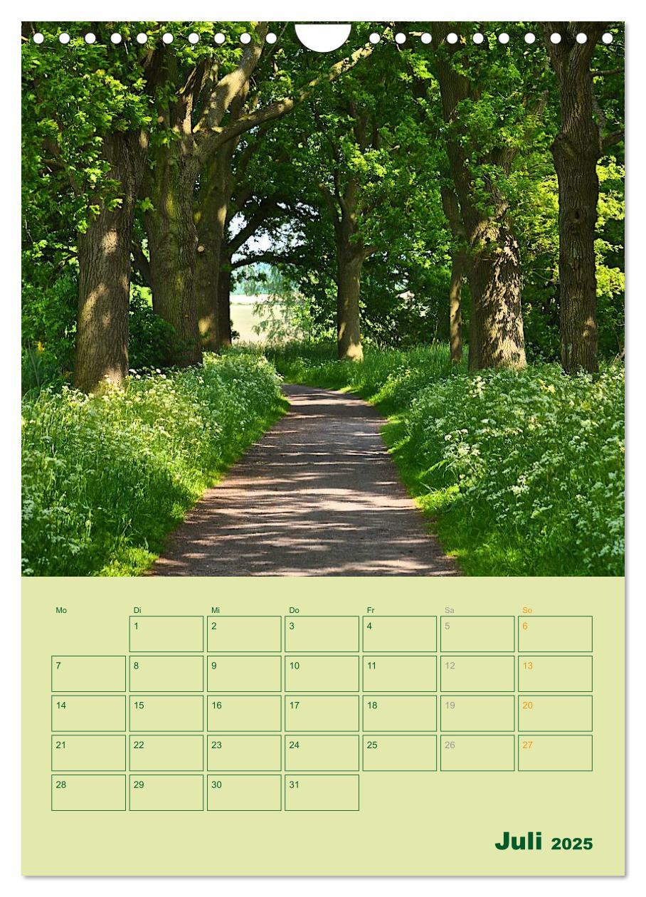 Bild: 9783457055540 | Wald- und Wiesenkalender 2025 Planer (Wandkalender 2025 DIN A4...