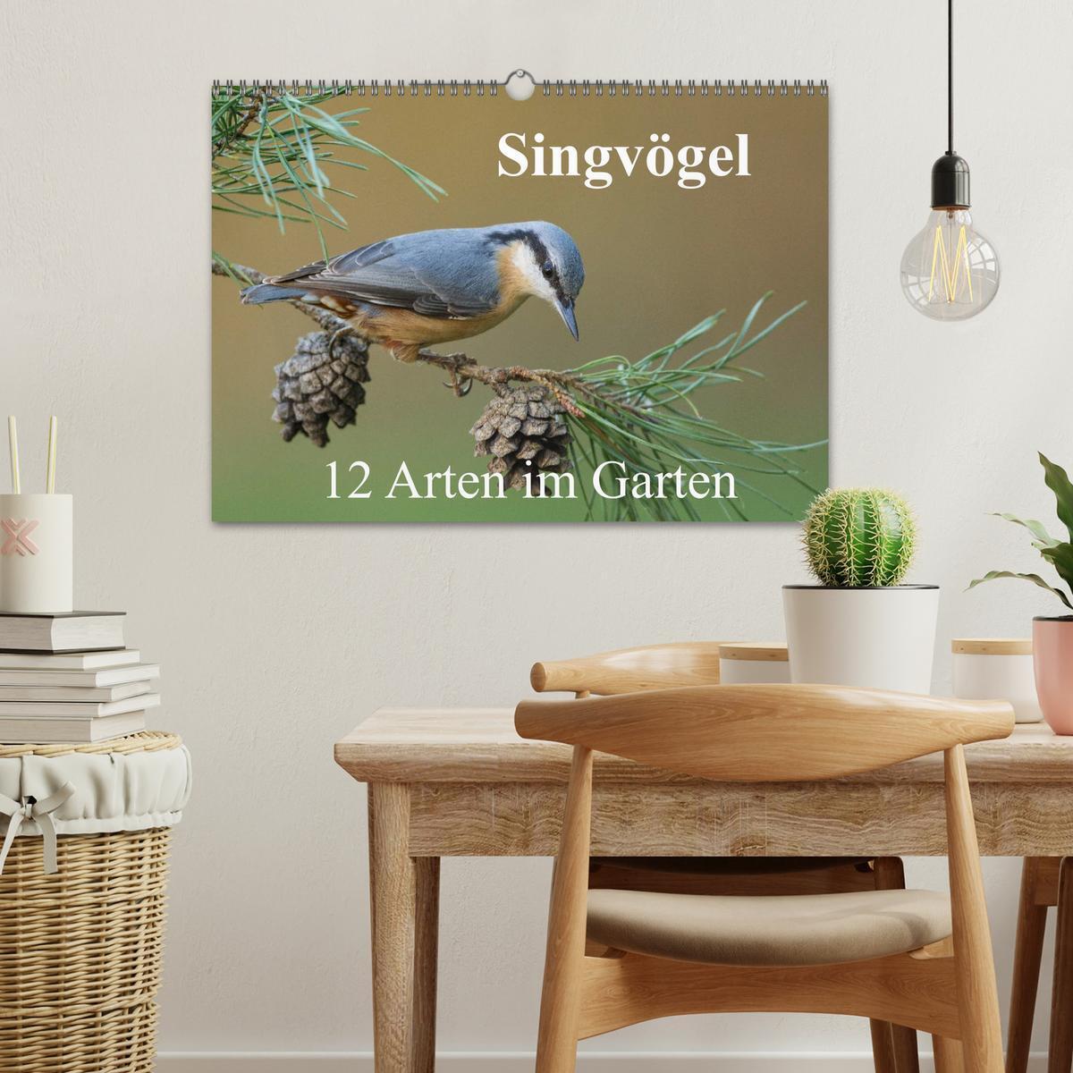 Bild: 9783435464357 | Singvögel - 12 Arten im Garten (Wandkalender 2025 DIN A3 quer),...