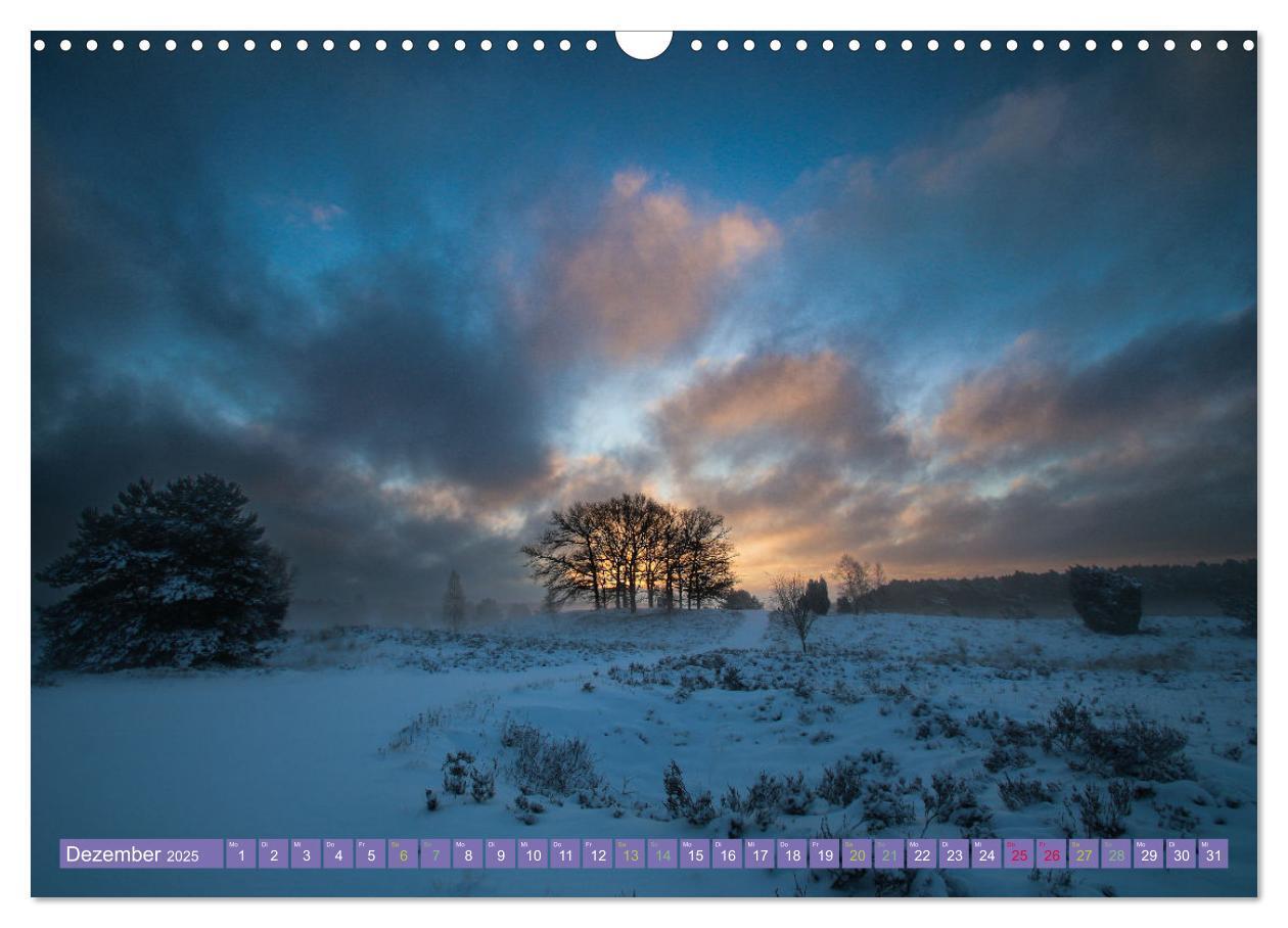 Bild: 9783383984143 | Die Farbenpracht der Lüneburger Heide (Wandkalender 2025 DIN A3...