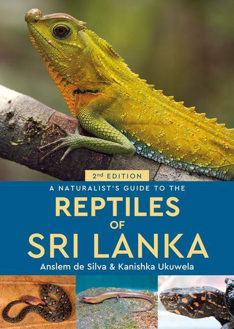 Cover: 9781912081233 | A Naturalist's Guide to the Reptiles of Sri Lanka (2nd edition) | Buch