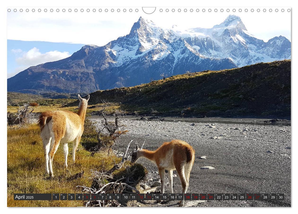 Bild: 9783435415175 | Patagonien - Parques Torres del Paine und Los Glaciares...