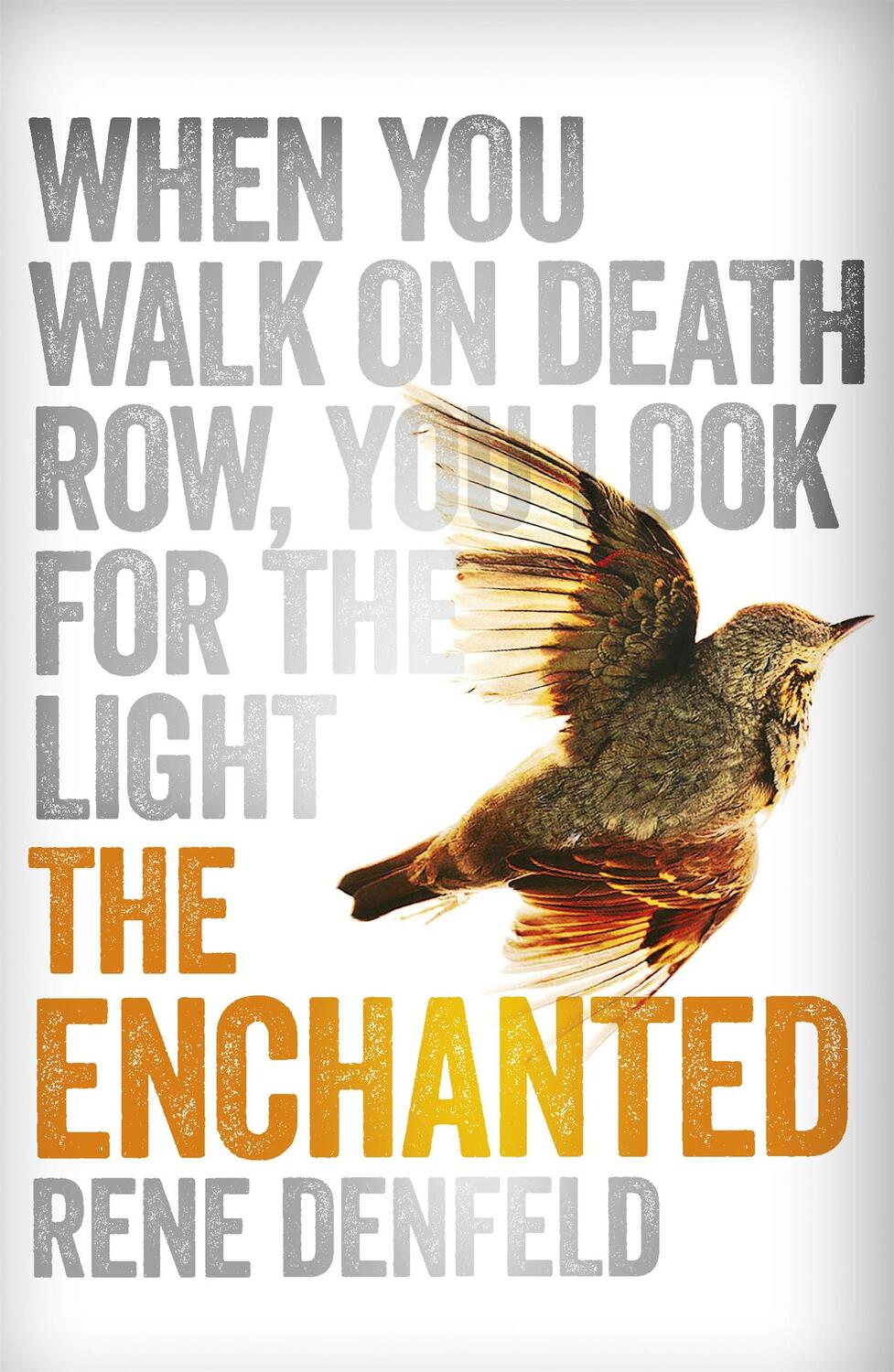 Cover: 9781780226347 | The Enchanted | Rene Denfeld | Taschenbuch | 238 S. | Englisch | 2015