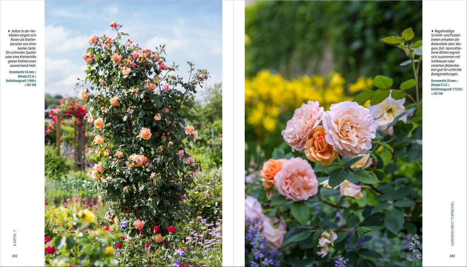 Bild: 9783832803582 | Garten-Shooting | Die Fotoschule, die Bilder zum Blühen bringt | Mann