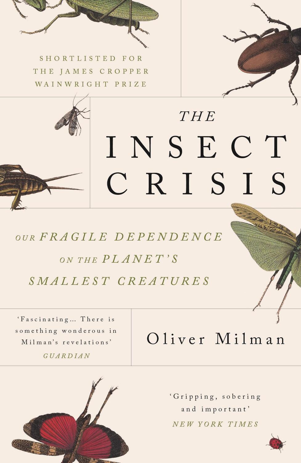 Cover: 9781838951191 | The Insect Crisis | Oliver Milman | Taschenbuch | Englisch | 2023