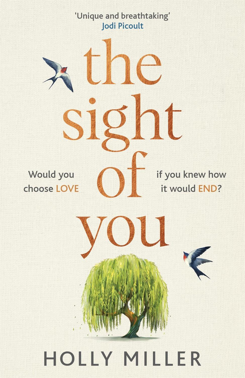 Cover: 9781529324341 | The Sight of You | Holly Miller | Buch | 2020 | Hodder &amp; Stoughton