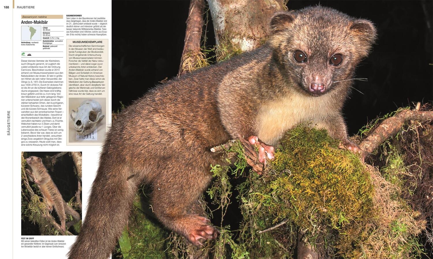 Bild: 9783831048489 | Tiere | Die große Bild-Enzyklopädie mit über 2000 Arten | Buch | 2024