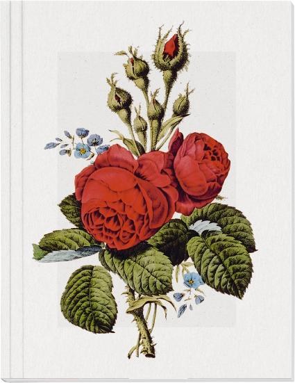 Cover: 4250915935355 | Geschichte der Rose Großes Notizheft (A5) Motiv Moosrose | Notizbücher