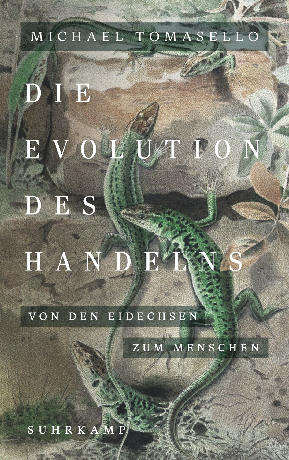 Cover: 9783518588123 | Die Evolution des Handelns | Von den Eidechsen zum Menschen | Buch