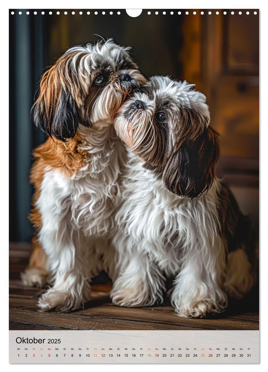 Bild: 9783383765384 | Shih Tzu - immer im Mittelpunkt (Wandkalender 2025 DIN A3 hoch),...