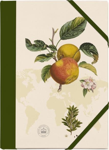 Cover: 4250915932224 | Kew Gardens Sammelmappe - Motiv Apfel | Stück | Deutsch | 2018