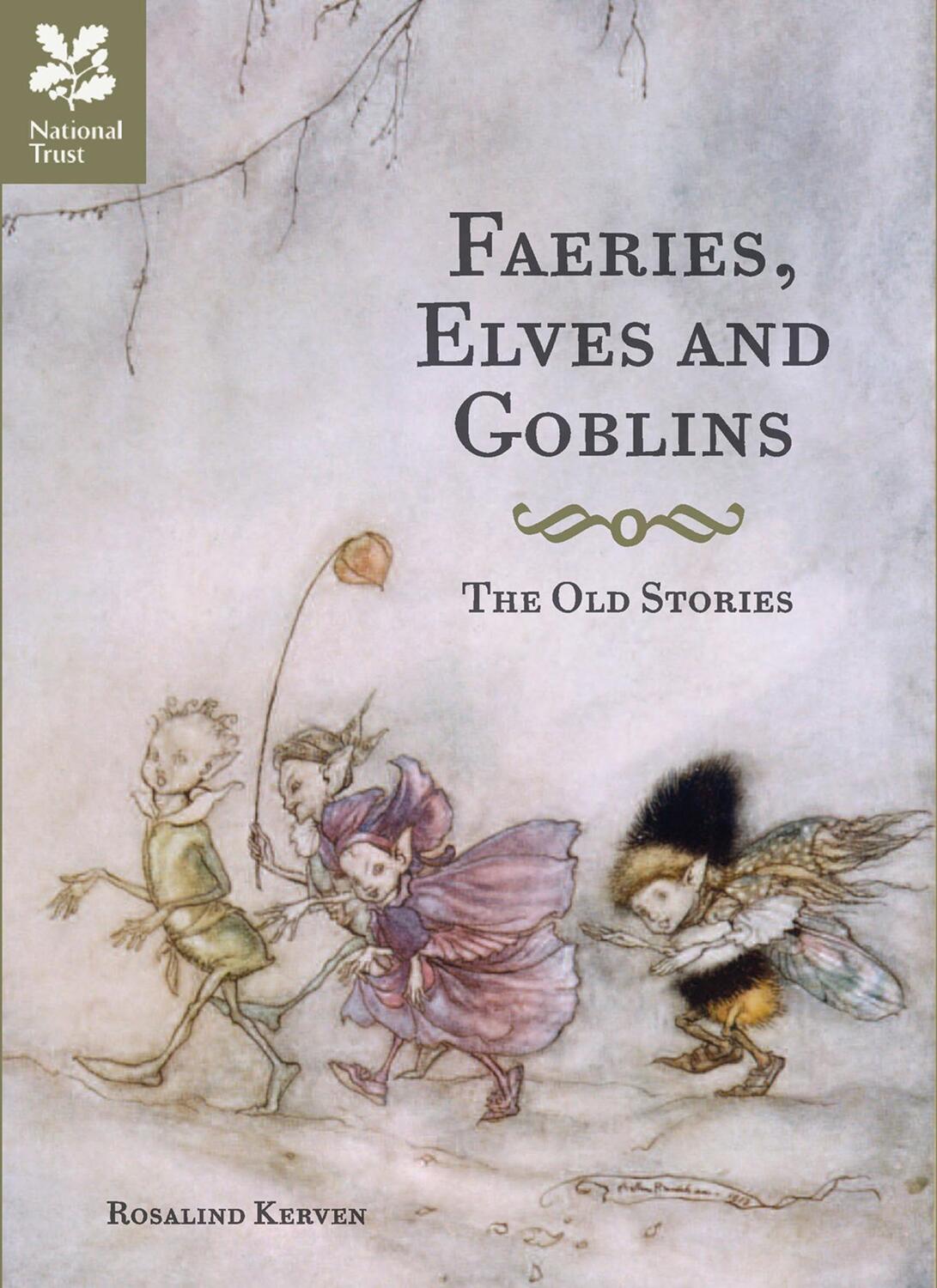 Cover: 9781907892479 | Faeries, Elves and Goblins | The Old Stories and Fairy Tales | Buch