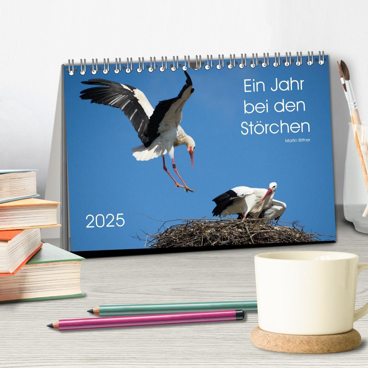 Bild: 9783435526529 | Ein Jahr bei den Störchen (Tischkalender 2025 DIN A5 quer),...