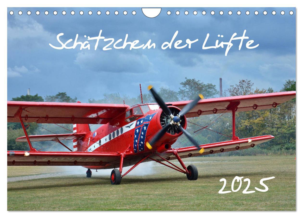 Cover: 9783435200269 | Schätzchen der Lüfte (Wandkalender 2025 DIN A4 quer), CALVENDO...