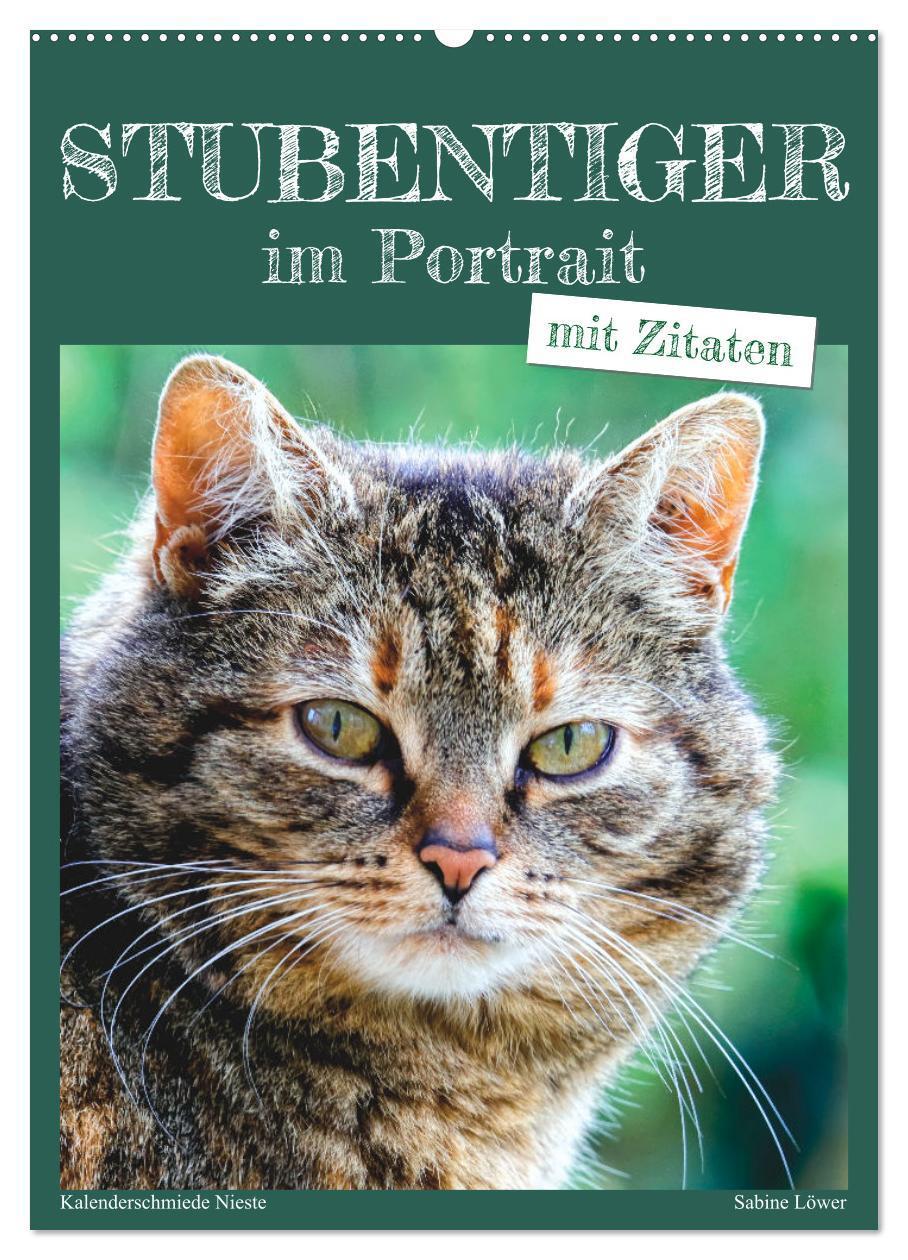 Cover: 9783435895281 | Stubentiger im Portrait (Wandkalender 2025 DIN A2 hoch), CALVENDO...