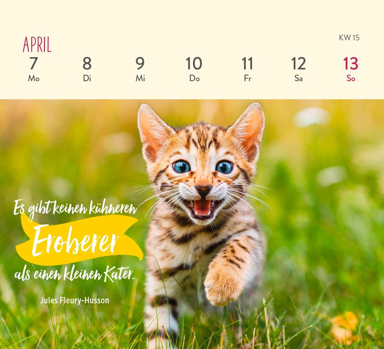 Bild: 4036442011935 | Mini-Wochenkalender 2025: Für Katzenfreunde | Groh Verlag | Kalender