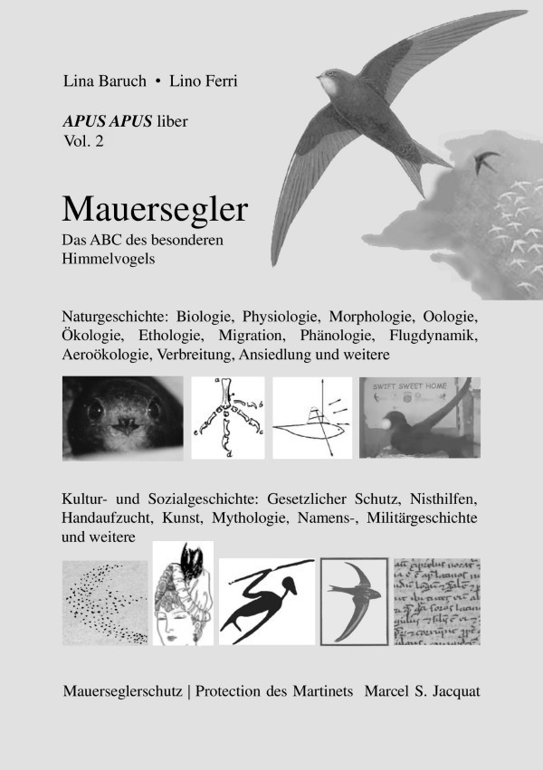 Cover: 9783757549732 | APUS APUS liber, vol. 2. Mauersegler | . Lina Baruch _ Lino Ferri