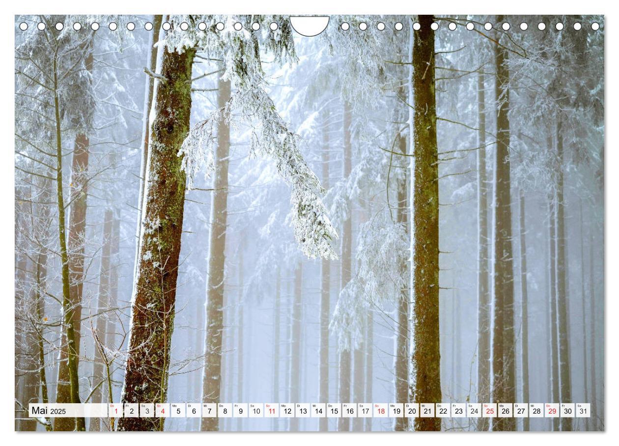 Bild: 9783435175383 | Eiszeit. Winter und Frost in der Natur (Wandkalender 2025 DIN A4...