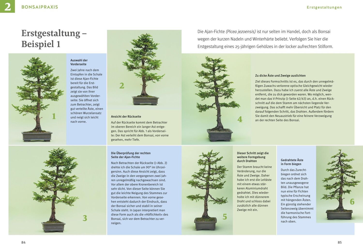 Bild: 9783833894961 | Bonsai ziehen, gestalten und pflegen | Johann Kastner | Buch | 128 S.