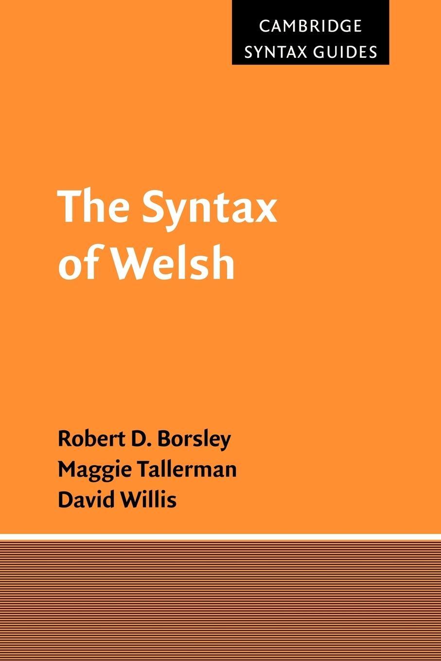 Cover: 9781107407619 | The Syntax of Welsh | Robert D. Borsley (u. a.) | Taschenbuch | 2012