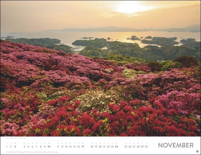 Bild: 9783756403226 | Blütenmeer Posterkalender 2024. Wandkalender mit 12 beeindruckenden...
