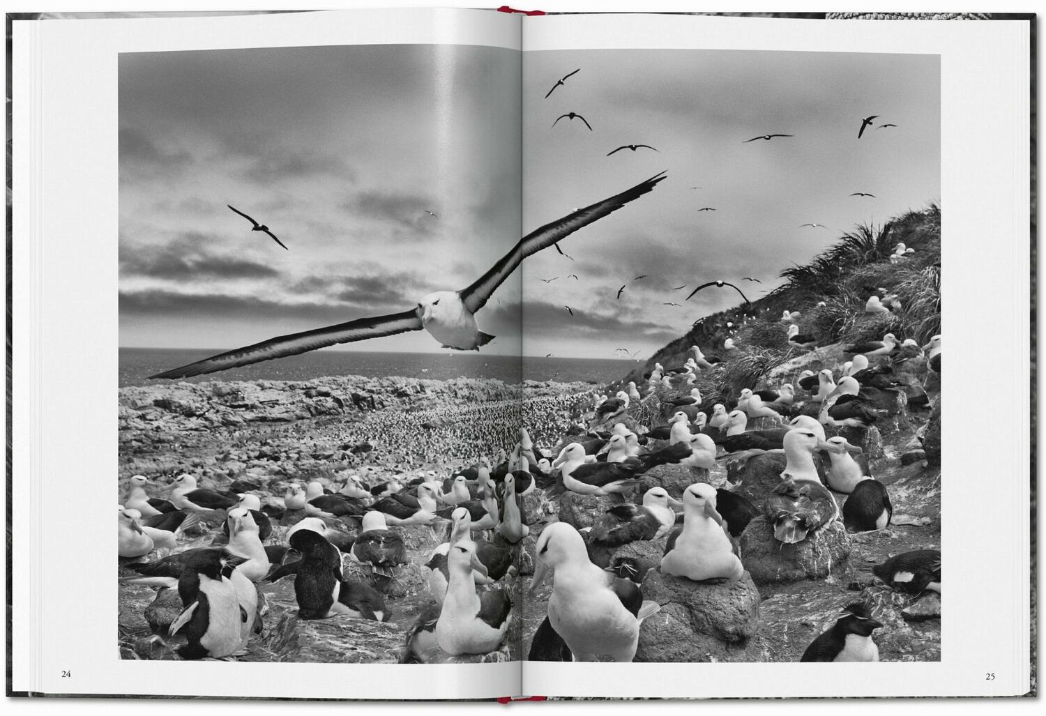 Bild: 9783754400616 | Sebastião Salgado. Genesis | Taschen | Buch | 192 S. | Deutsch | 2024