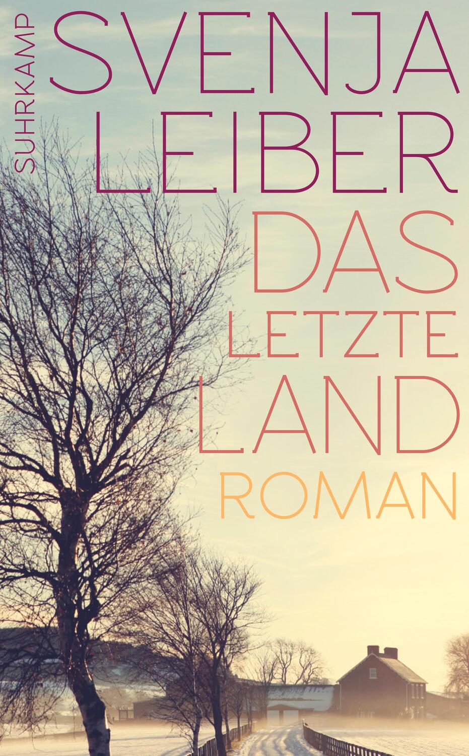 Cover: 9783518465769 | Das letzte Land | Svenja Leiber | Taschenbuch | Deutsch | 2015