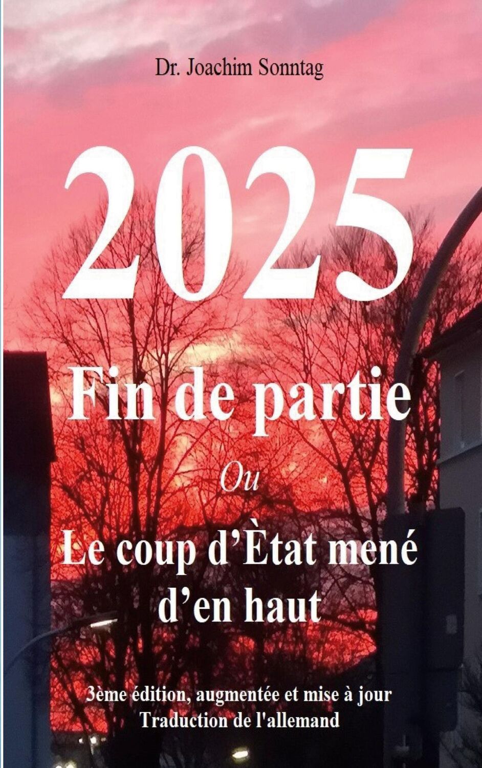 Cover: 9783751935708 | 2025 - Fin de partie | Ou Le coup d'Ètat mené d'en haut | Sonntag