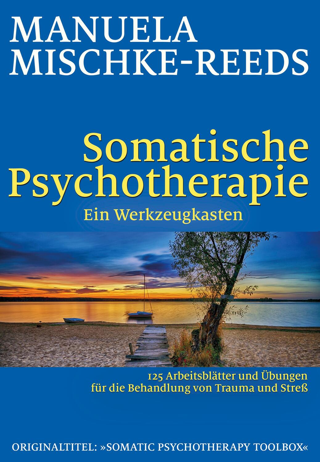 Cover: 9783944476315 | Somatische Psychotherapie - ein Werkzeugkasten | Manuela Mischke-Reeds