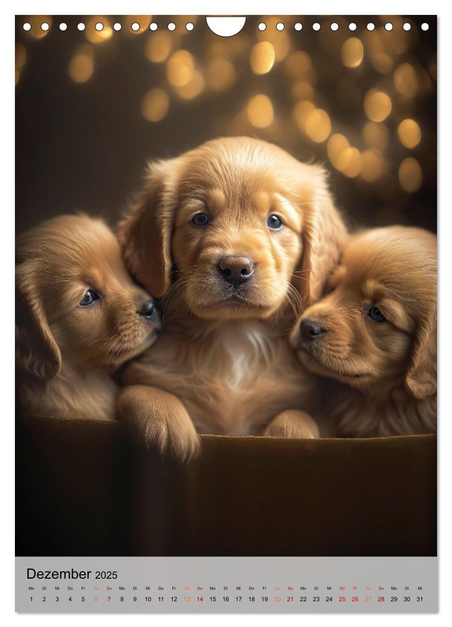 Bild: 9783435881246 | Golden Retriever - ein Hund für die Familie (Wandkalender 2025 DIN...