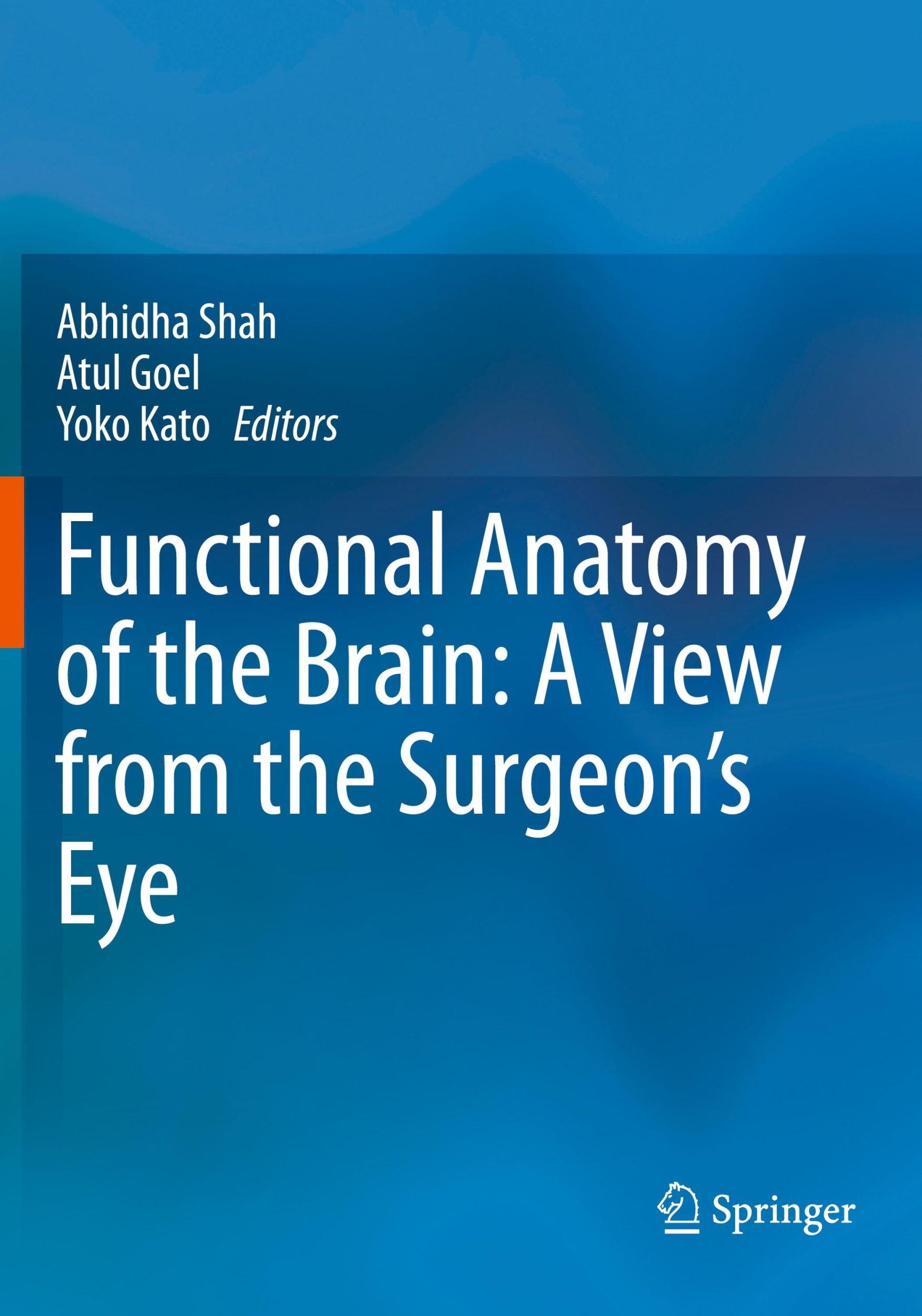 Cover: 9789819934140 | Functional Anatomy of the Brain: A View from the Surgeon's Eye | Buch