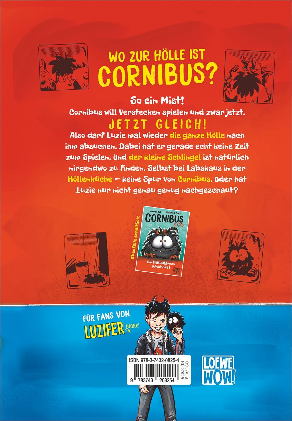 Rückseite: 9783743208254 | Cornibus & Co (Band 2) - Cornibus Verschwindibus | Jochen Till | Buch