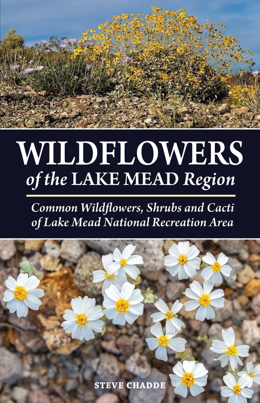 Cover: 9781951682675 | Wildflowers of the Lake Mead Region | Steve W Chadde | Taschenbuch