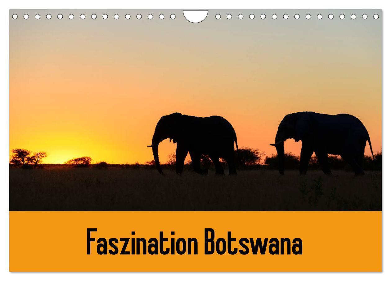 Cover: 9783435452514 | Faszination Botswana (Wandkalender 2025 DIN A4 quer), CALVENDO...