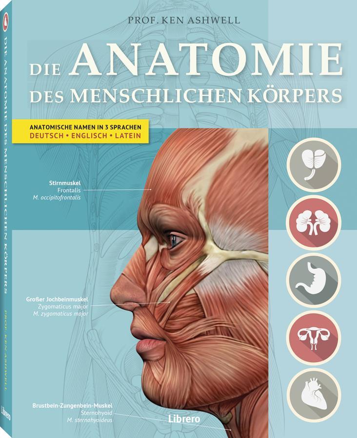 Cover: 9789089986238 | Der Menschliche Körper | Ken Ashwell | Taschenbuch | Deutsch | 2016