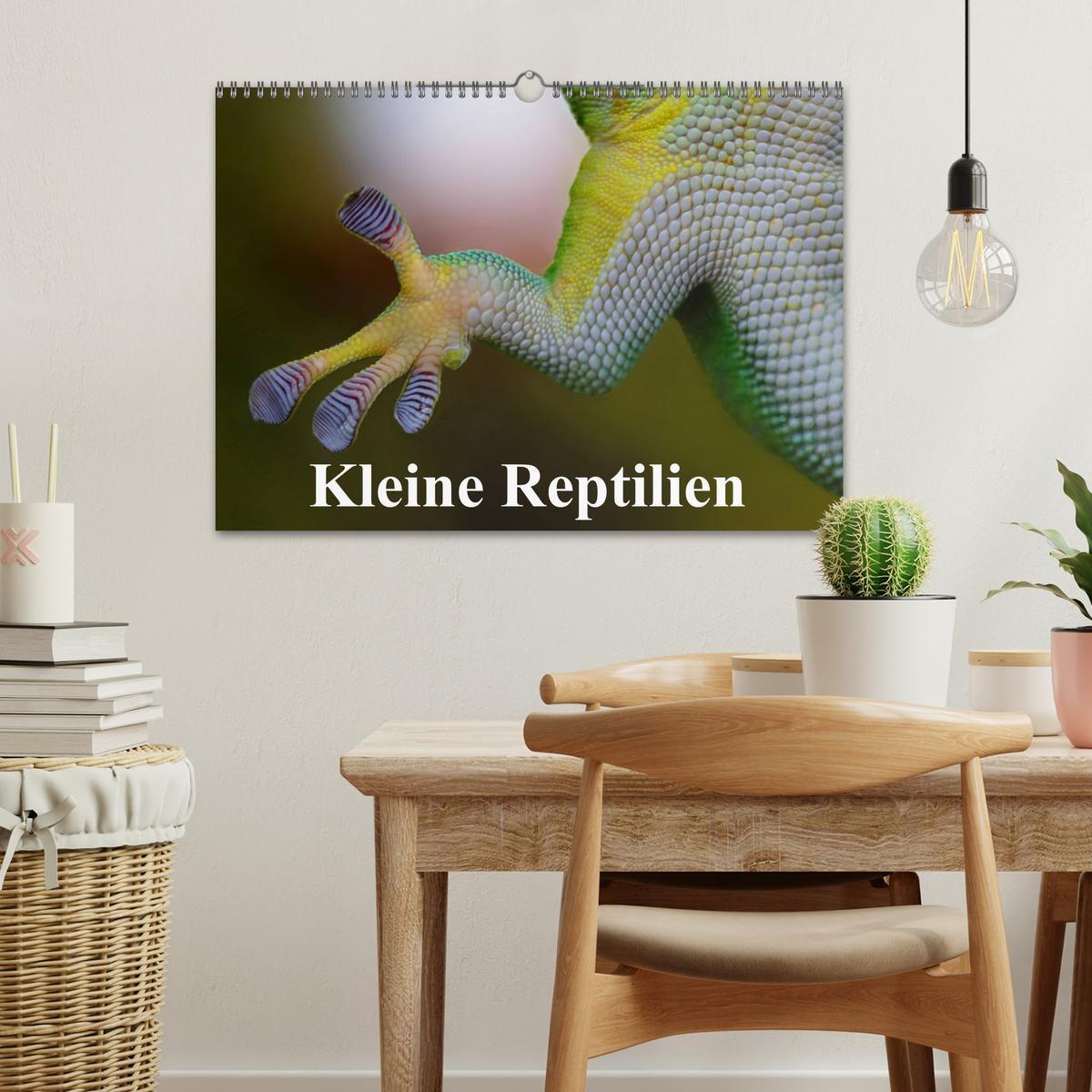 Bild: 9783435589432 | Kleine Reptilien (Wandkalender 2025 DIN A3 quer), CALVENDO...