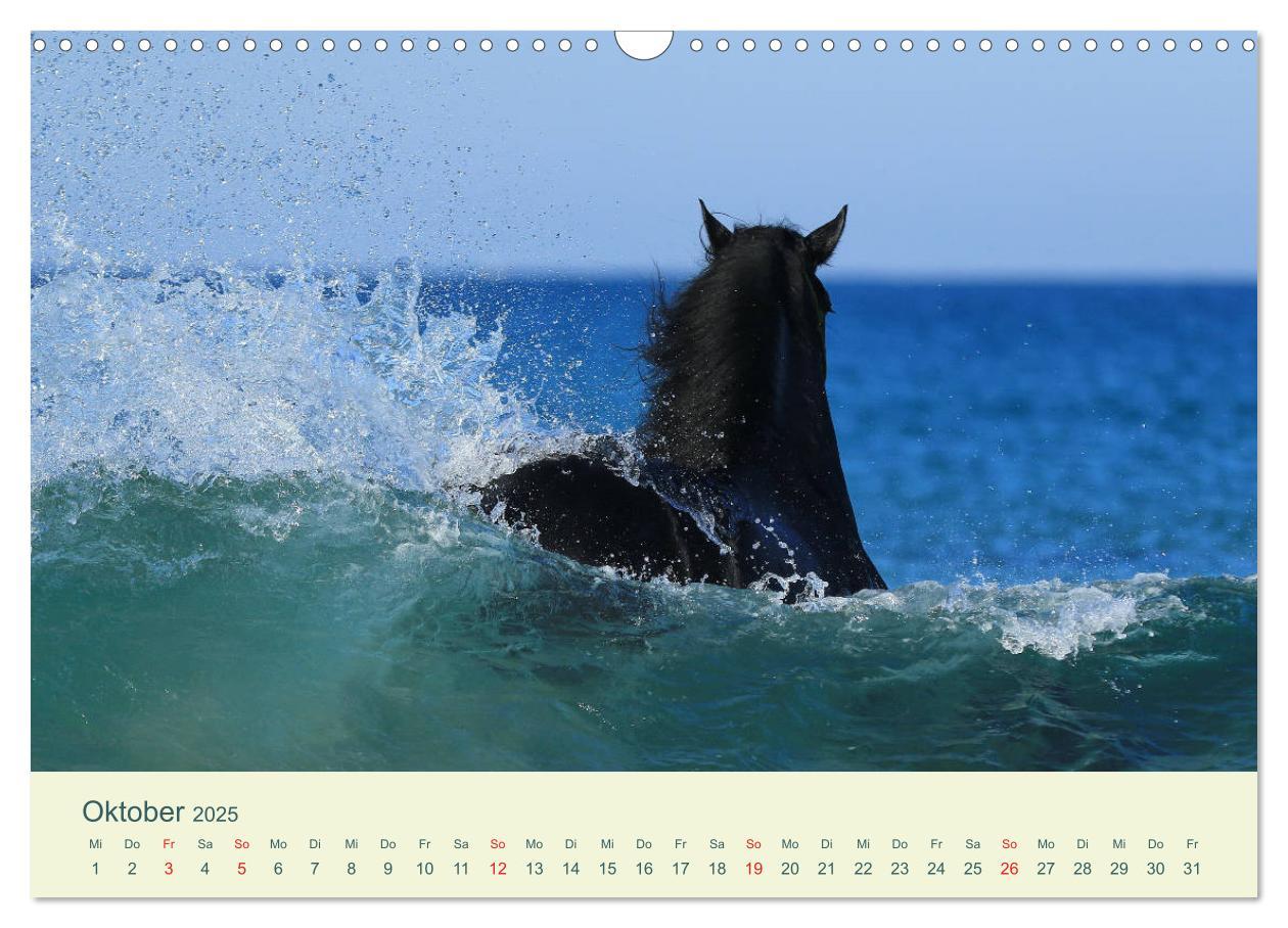 Bild: 9783435215614 | PFERDE &amp; MEER (Wandkalender 2025 DIN A3 quer), CALVENDO Monatskalender