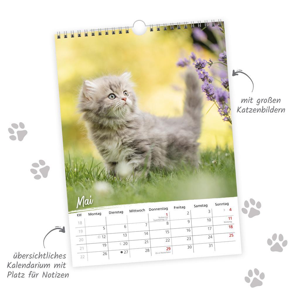 Bild: 9783988022035 | Trötsch Classickalender Liebste Katzen 2025 | Wandkalender | KG | 2025