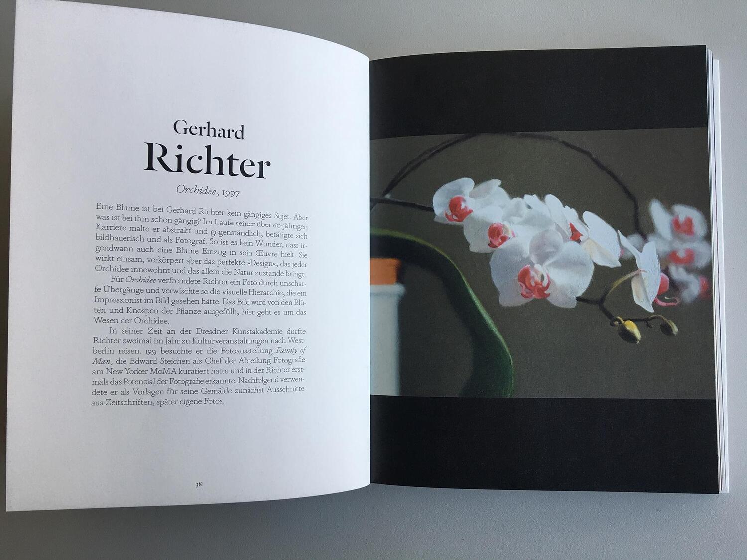 Bild: 9783832199654 | Blumen in der Kunst | Angus Hyland (u. a.) | Taschenbuch | 160 S.