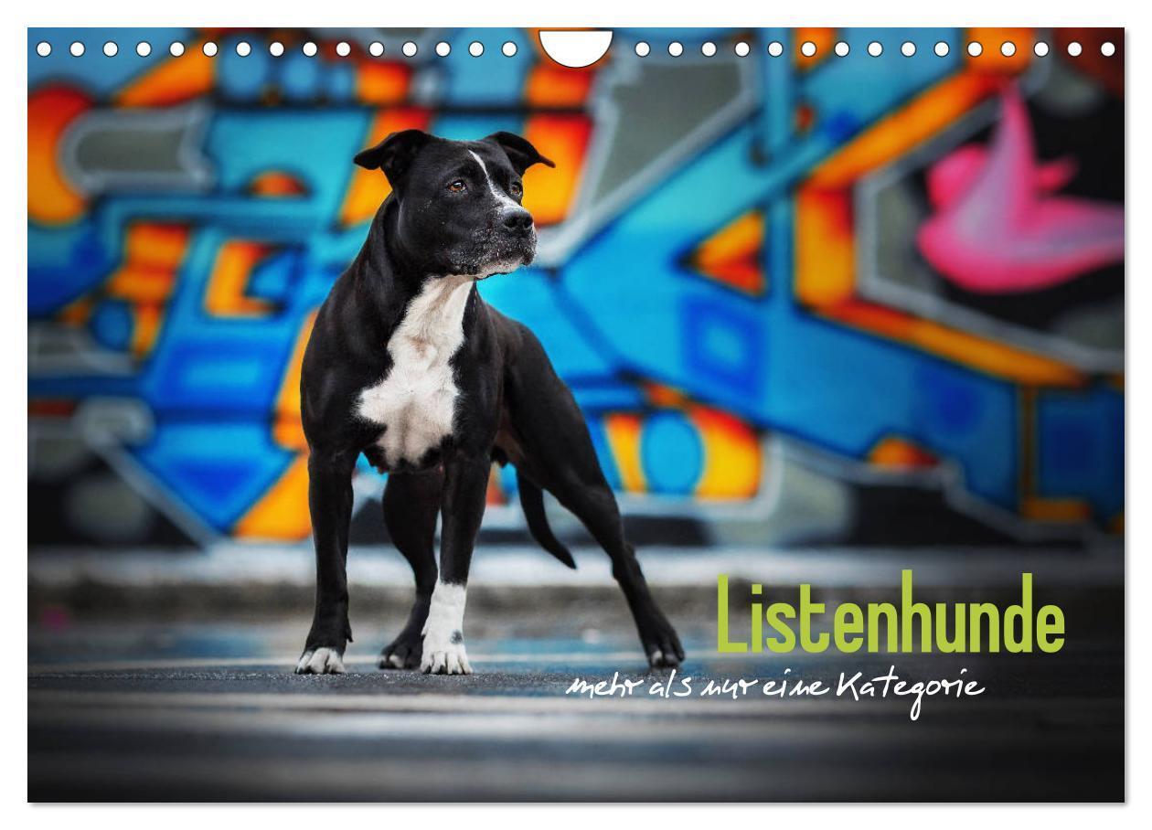 Cover: 9783675570597 | Listenhunde - mehr als nur eine Kategorie (Wandkalender 2024 DIN A4...