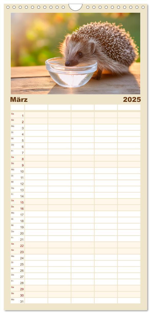 Bild: 9783457193037 | Familienplaner 2025 - Mein Igel-Kalender mit 5 Spalten...