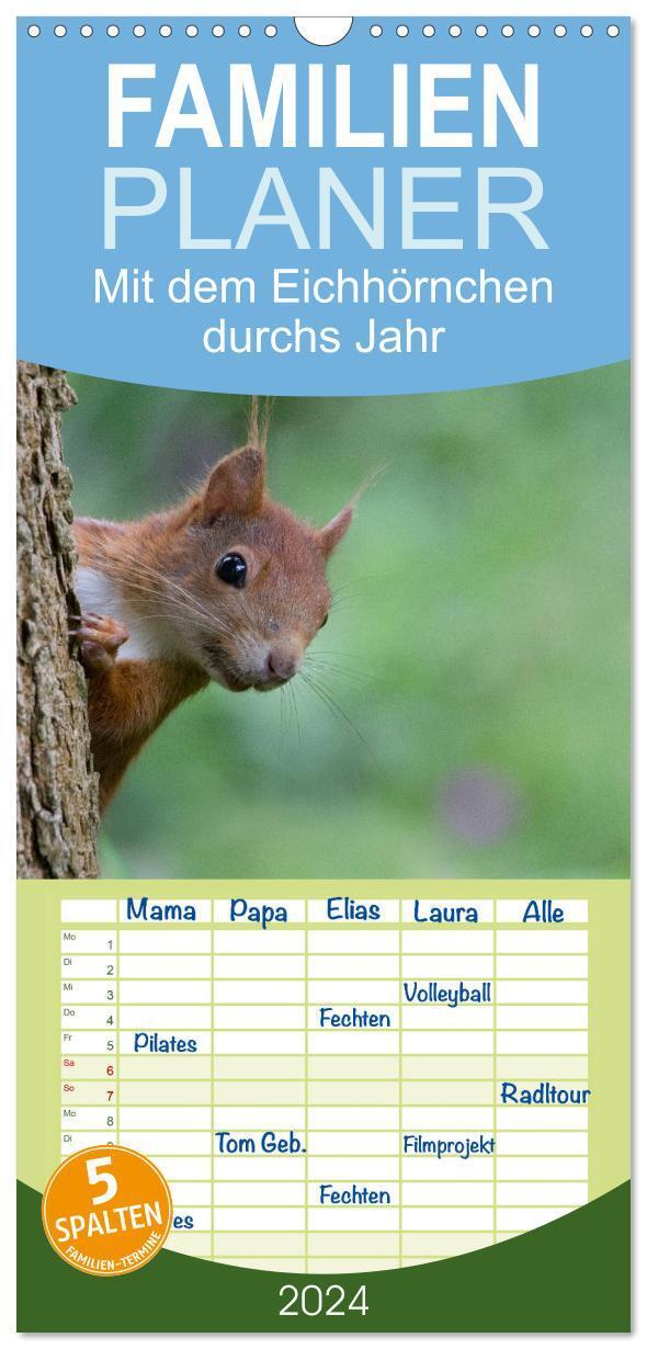 Cover: 9783383061851 | Familienplaner 2024 - Mit dem Eichhörnchen durchs Jahr mit 5...