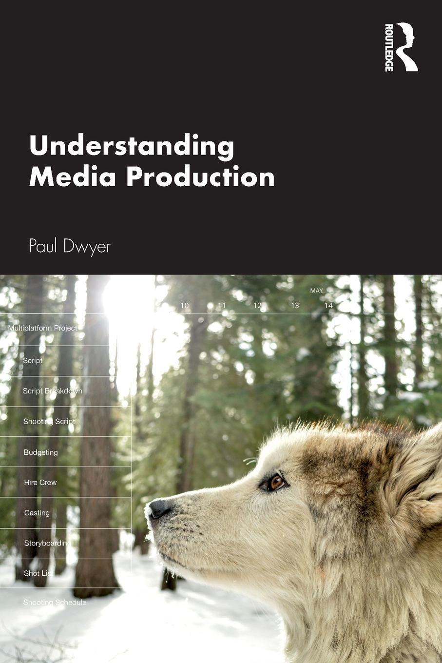 Cover: 9781138238145 | Understanding Media Production | Paul Dwyer | Taschenbuch | Paperback