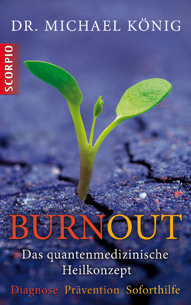 Cover: 9783942166805 | Burnout | Michael König | Taschenbuch | 2012 | scorpio